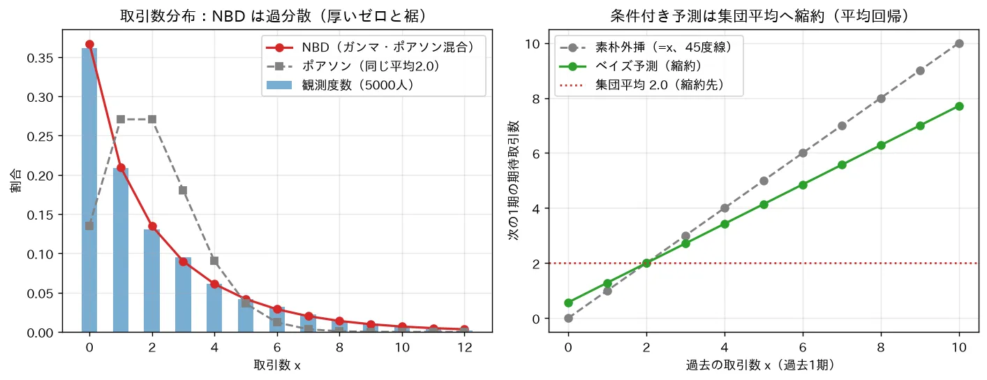 取引数分布:NBD は過分散(厚いゼロと裾)
