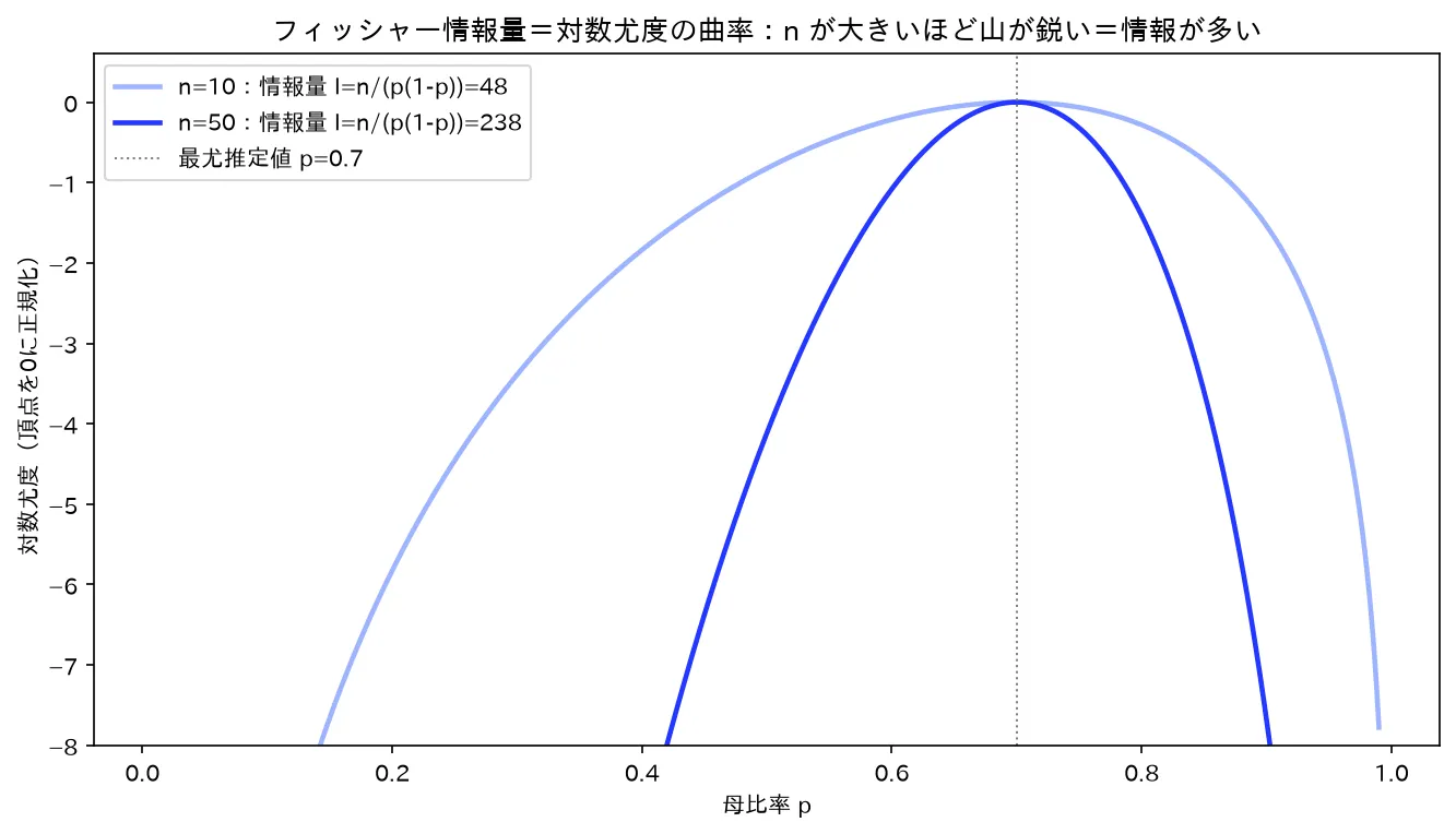 フィッシャー情報量＝対数尤度の曲率（n=10 vs 50）